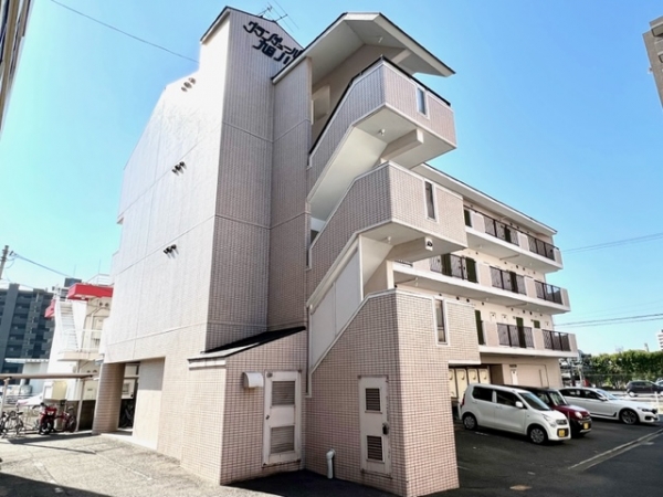 ǥ塼배